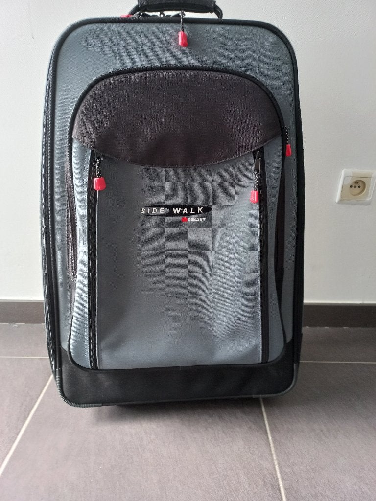 Delseay Reistas met Wielen - Grijs, Ophalen, Minder dan 35 cm, Zo goed als nieuw, 60 tot 80 cm