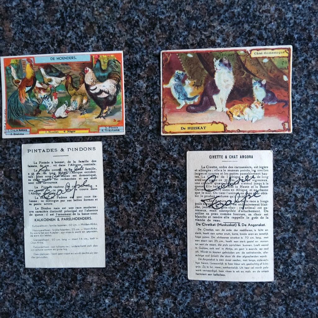 Chichorei: Talpe & Vantieghem-Dupont: verzamelchromo's, Enlèvement ou Envoi