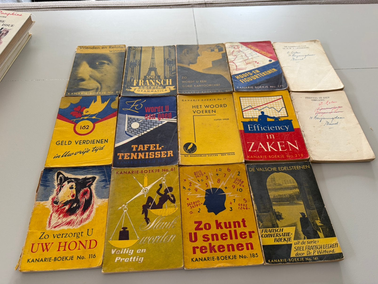 Kanarie - boekjes, Boeken, Ophalen of Verzenden, Gelezen