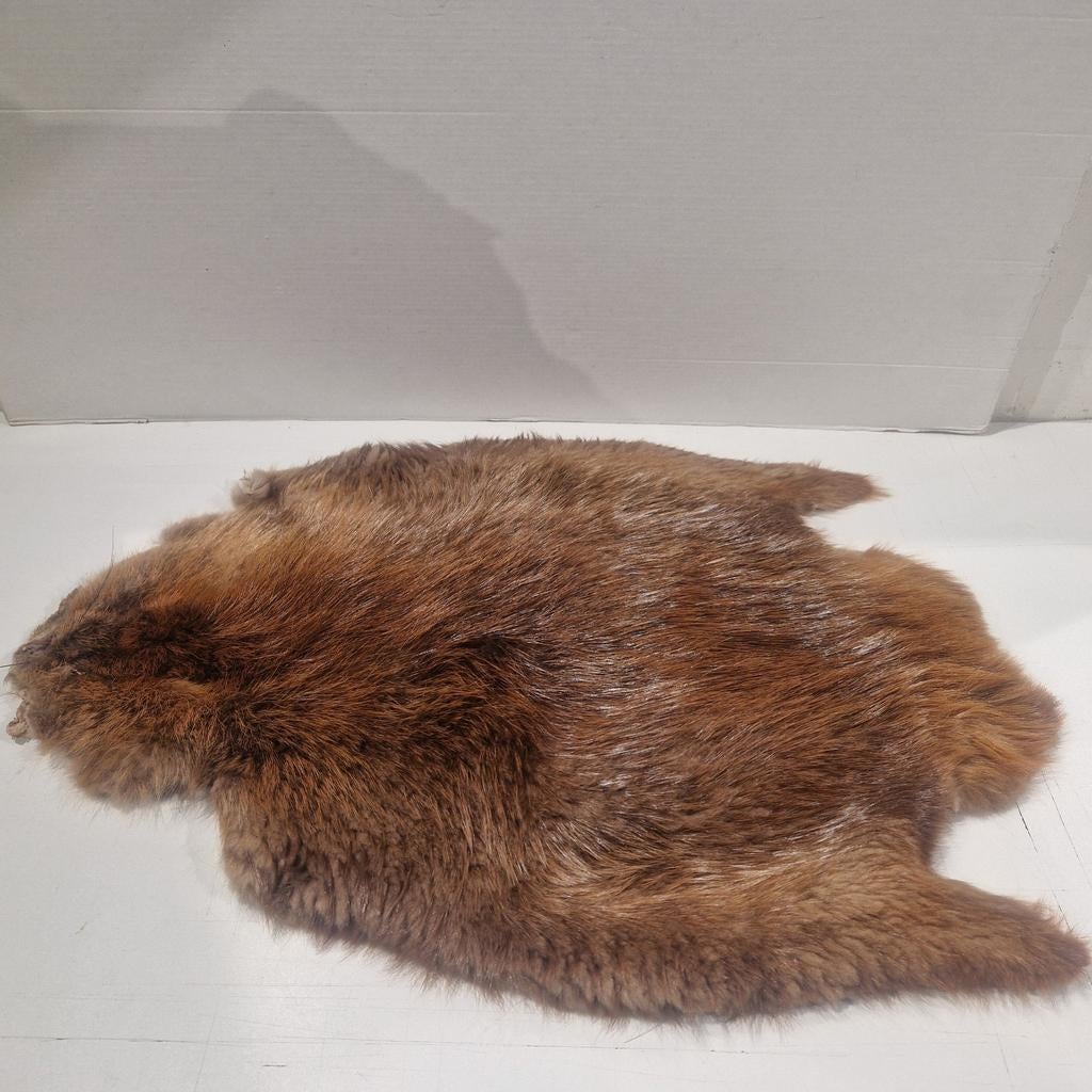 Beaver skin , bever huid , vliegbinden,  komplete vacht, Watersport en Boten, Hengelsport | Vliegvissen, Ophalen of Verzenden