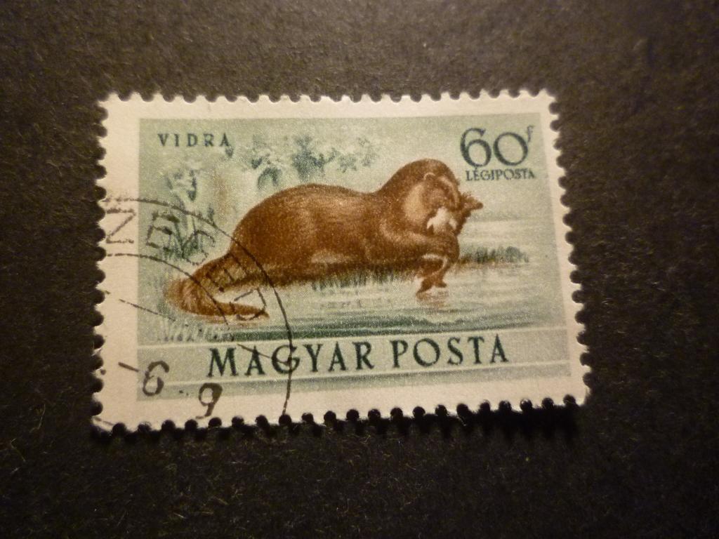 Hongarije/Hongrie 1953 Mi 1289(o) Gestempeld/Oblitéré, Timbres & Monnaies, Timbres | Europe | Hongrie, Envoi