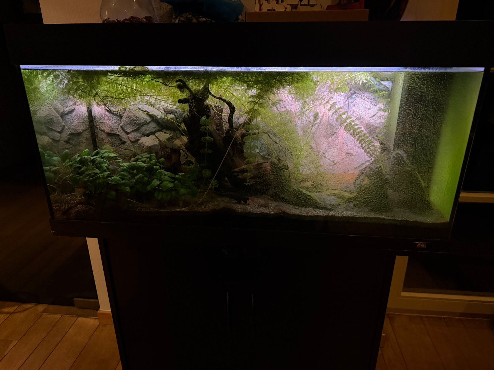Juwel 180 goede staat gebruikt voor 5j, Enlèvement, Utilisé, Filter, Juwel