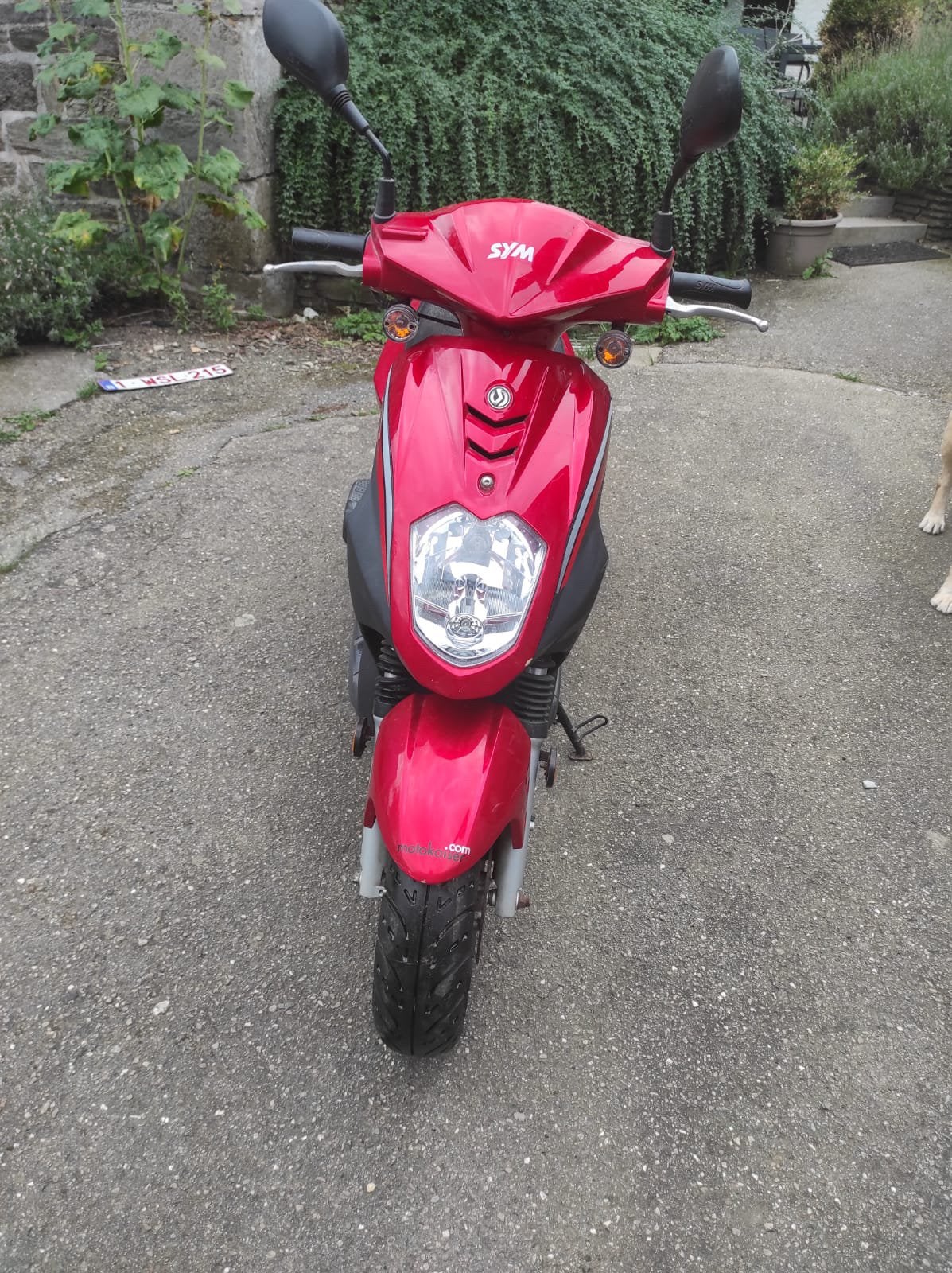SYM Orbit 50 CLASSE B – 2007 – Seulement 2600 km, Vélos & Vélomoteurs, Enlèvement, Comme neuf, Orbit