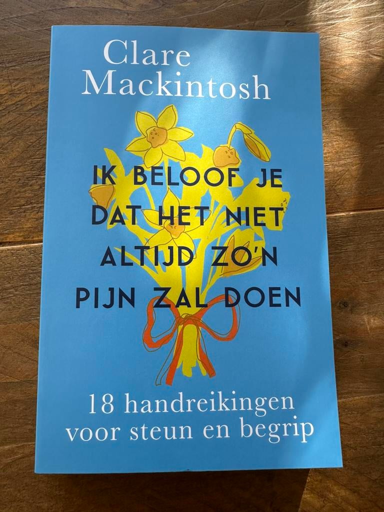 Clare Mackintosh: ik beloof je dat het niet altijd zo’n pijn, Ophalen of Verzenden, Zo goed als nieuw