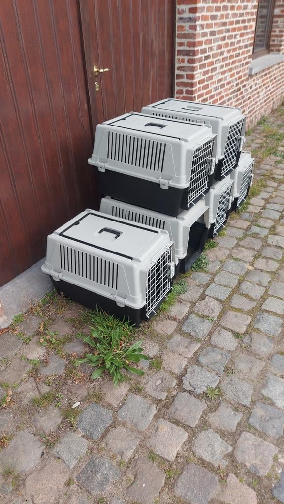 Kleine transportbench hond / puppy – IATA vliegbench, Dieren en Toebehoren, Ophalen, Gebruikt