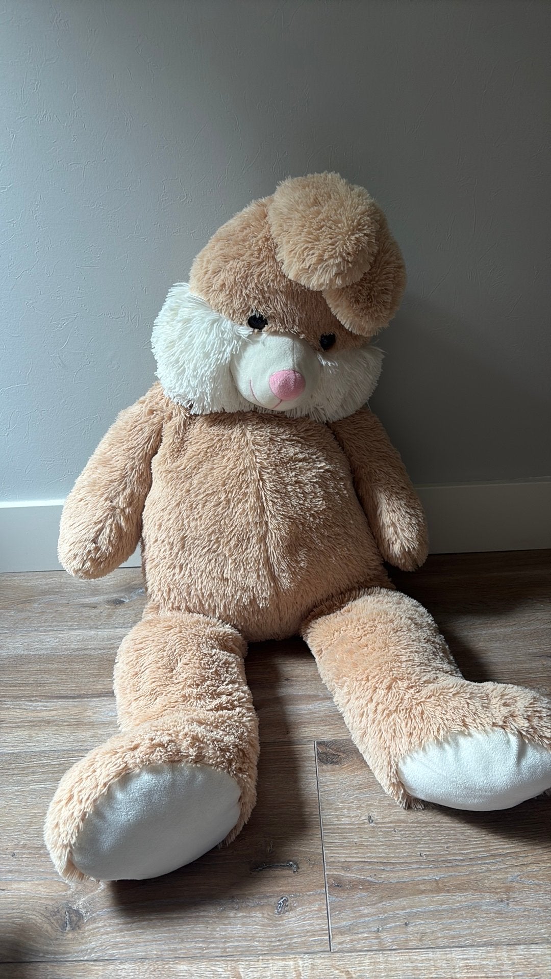 Groot knuffelkonijn, Collections, Enlèvement ou Envoi