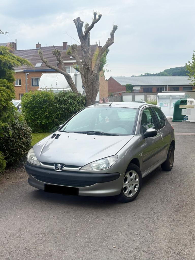 Peugeot 206, Bedrijf, Te koop, Benzine