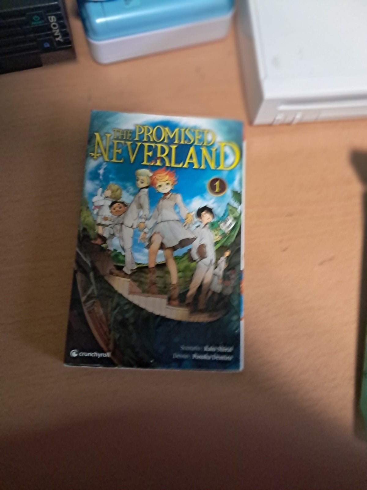 The promised neverland numero 1, Livres, Enlèvement