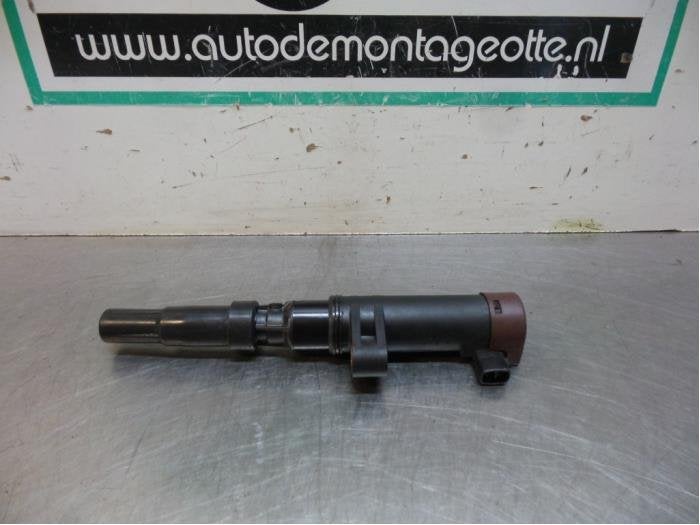 Bobine d'un Renault Clio (Clio 3 06-), Renault, -, 3 mois de garantie, Utilisé