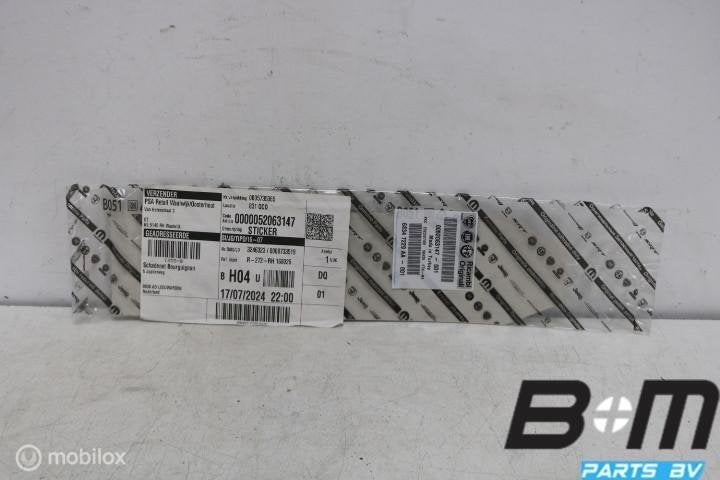 Folie portier RA Fiat Tipo 52063147, Utilisé