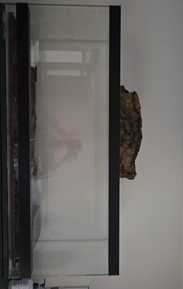 Terrarium 1m20, Enlèvement ou Envoi