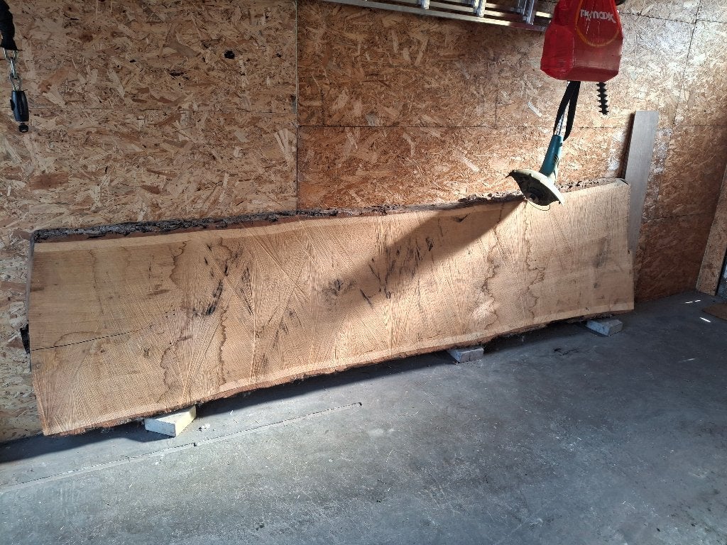 Boomstamplank, Doe-het-zelf en Bouw, Ophalen, Eiken, Nieuw, 250 tot 300 cm