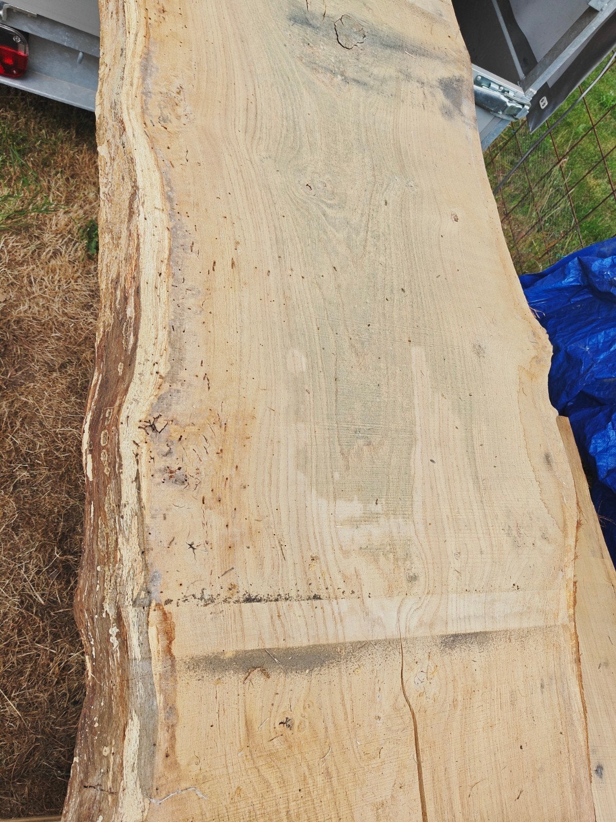 Eiken tafelblad of voor dergelijke dingen te maken., Bricolage & Construction, Bois & Planches, Enlèvement ou Envoi, Chêne