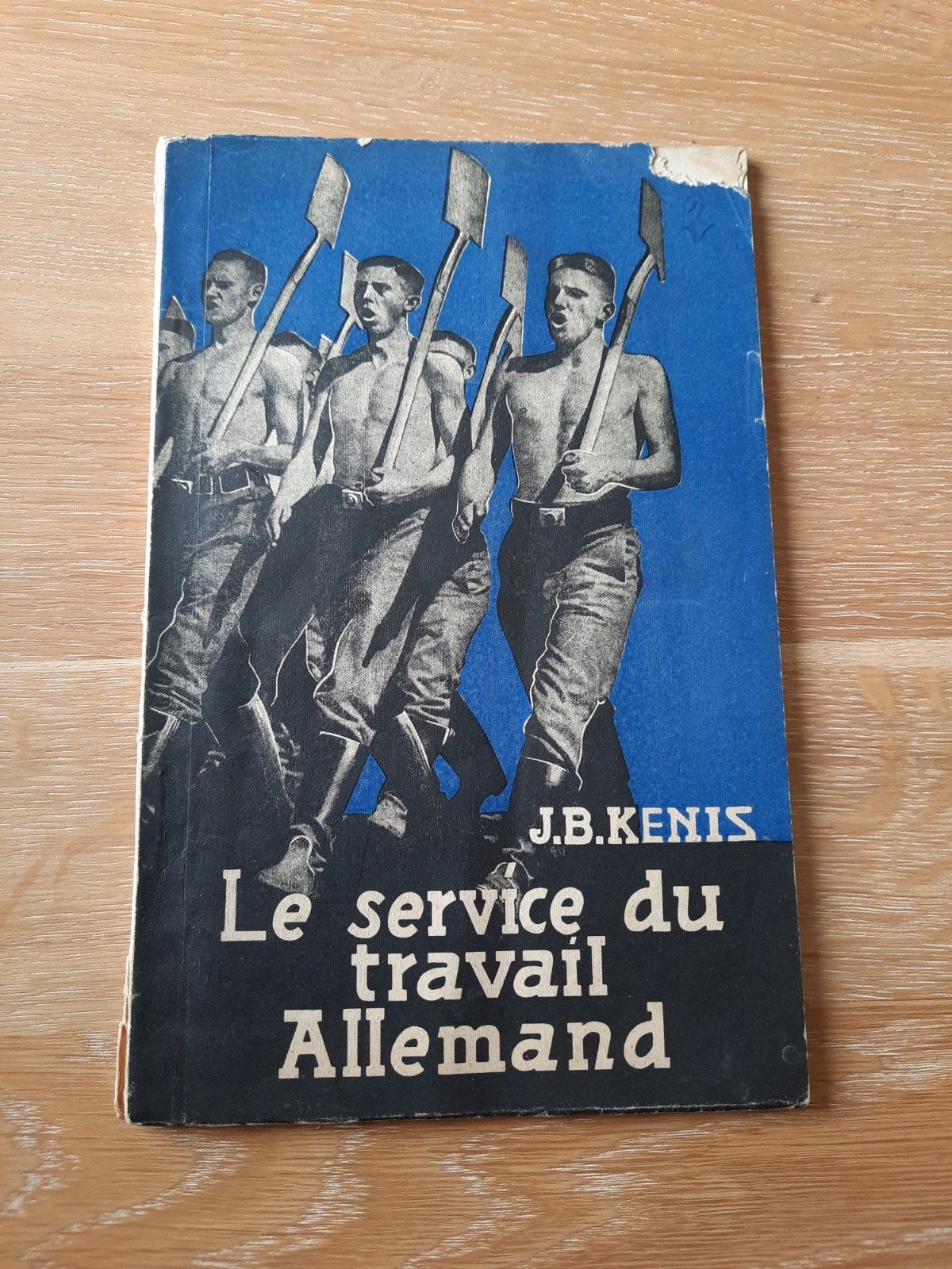 De Duitse arbeidsdienst: een propagandaboek, Ophalen of Verzenden