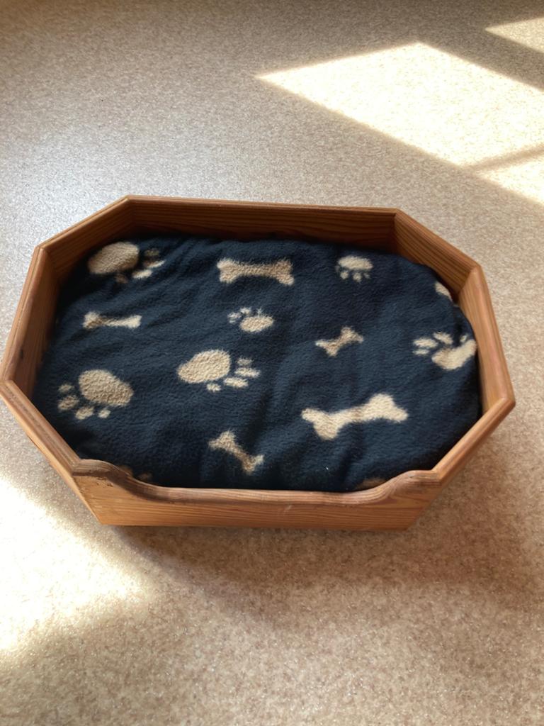 Dierennestje 54 x 37 cm kussen nieuw, Dieren en Toebehoren, Hondenmanden, Ophalen, Zo goed als nieuw