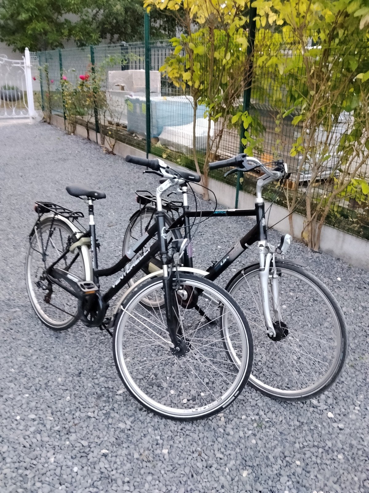 Dames- en herenfietsen voor studenten, Gebruikt, Vering, Velgrem, 53 tot 57 cm