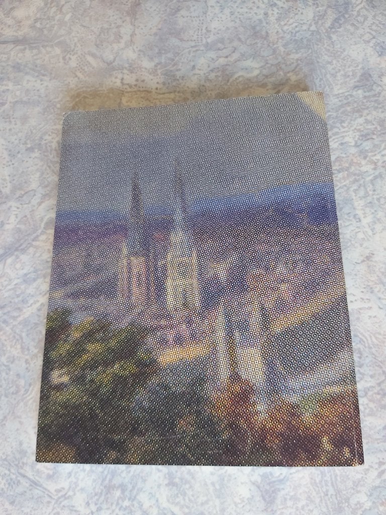 Kerk Sint-Truiden Zusters Fruitstreek Schatkamer Relikwie, Livres, Histoire & Politique, Enlèvement ou Envoi, 19e siècle