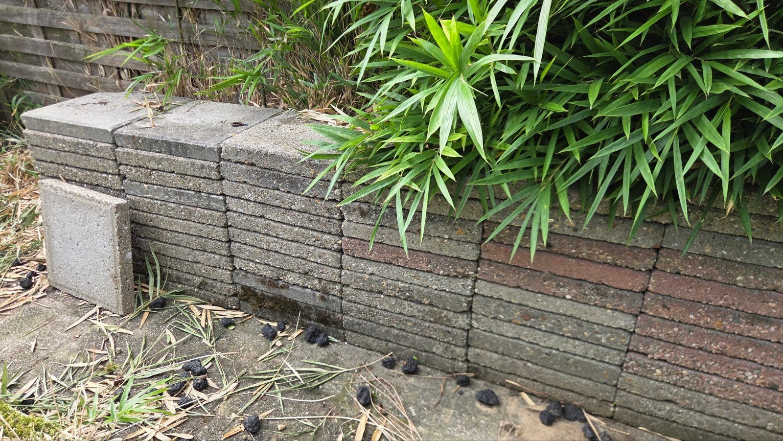 Gratis terras tegels 30 op 30, Tuin en Terras, Ophalen, Gebruikt