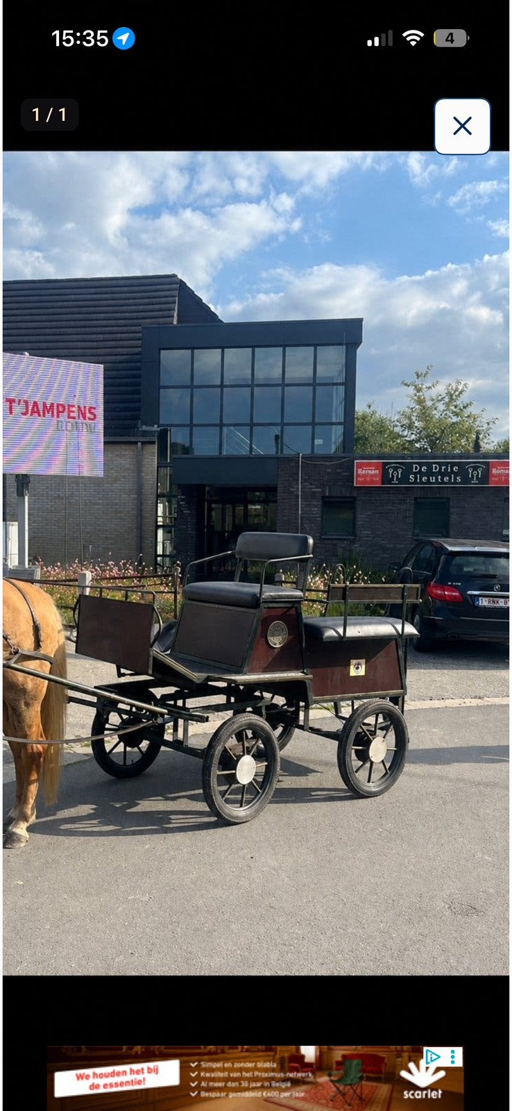 Paard, koets en toebehoren te koop, Animaux & Accessoires, M