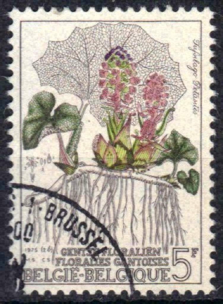 Belgique 1975 - Yvert 1742/OBP 1749 - Gand Floralien V (ST), Timbres & Monnaies, Envoi, Affranchi, Oblitéré