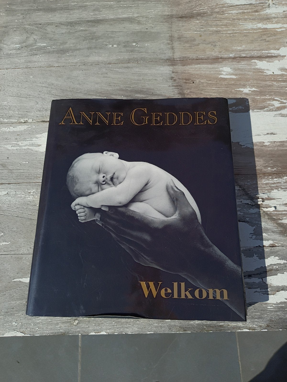 A. Geddes - Welkom, Enlèvement, Comme neuf, A. Geddes, Album d'images