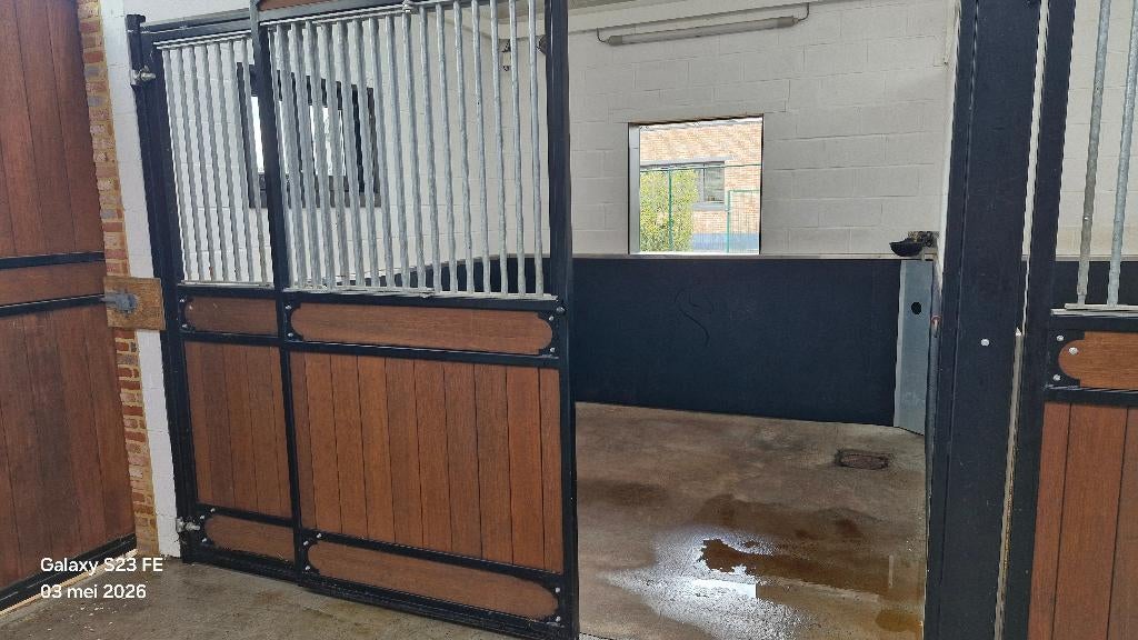 Stal te huur in Vlierzele, Dieren en Toebehoren, Stalling en Weidegang, Weidegang, 1 paard of pony