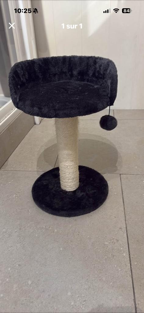 Arbre à chat, Enlèvement, Utilisé, Griffoir