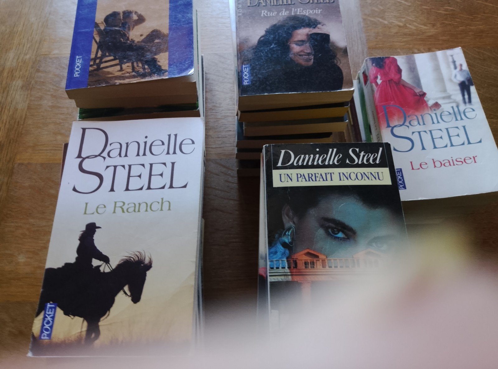 Livres Danielle Steel, Livres, Romans, Enlèvement ou Envoi