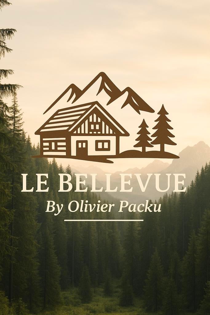 Spacieux duplex 60 m2 - Vosges - Gérardmer, TV
