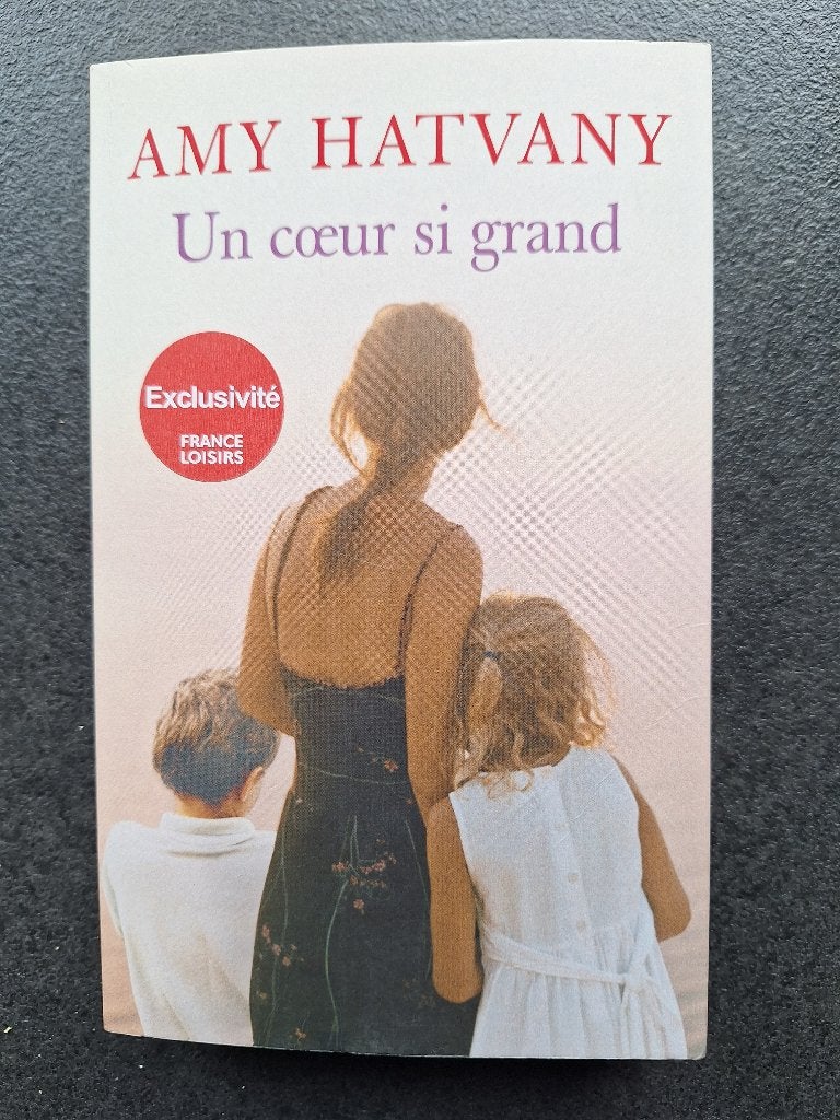 Un coeur si grand - Amy Hatvany, Enlèvement, Comme neuf, Amy Hatvany