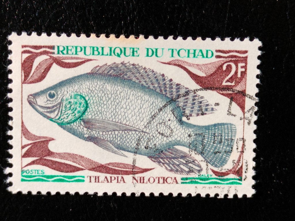 Tchad 1969 - poissons - faune sous-marine, Envoi, Autres pays, Affranchi