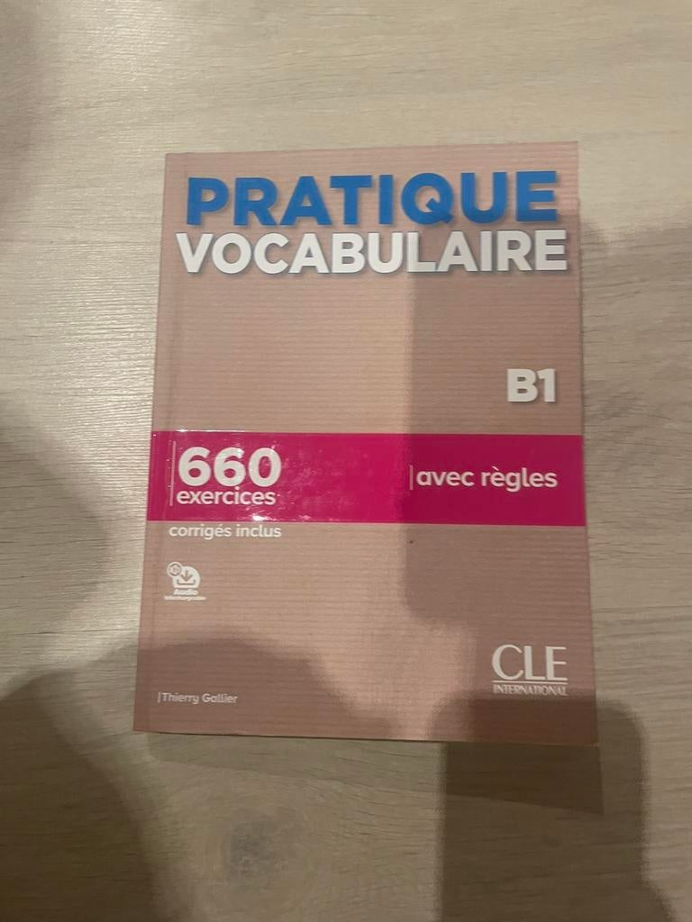 Frans werkboek, Livres, Dictionnaires, Enlèvement, Comme neuf, Français