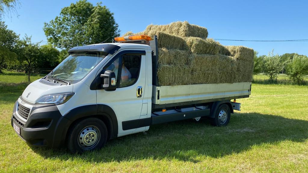 Peugeot boxer, Auto's, Voorwielaandrijving, Euro 6, 3000 kg, Wit