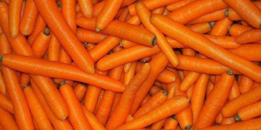 Gezocht wortelen, voederaardappelen., Dieren en Toebehoren