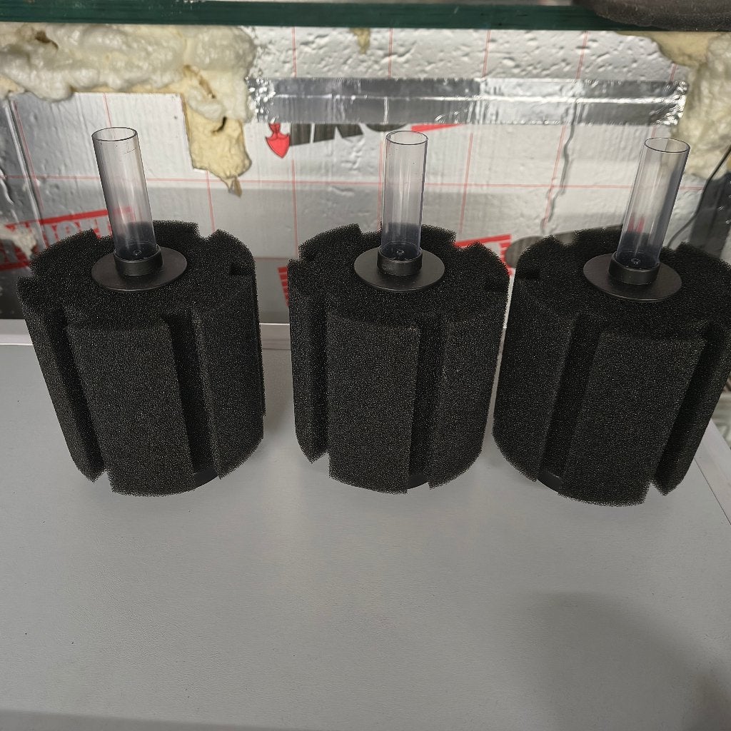 sponsfilters 3, Ophalen