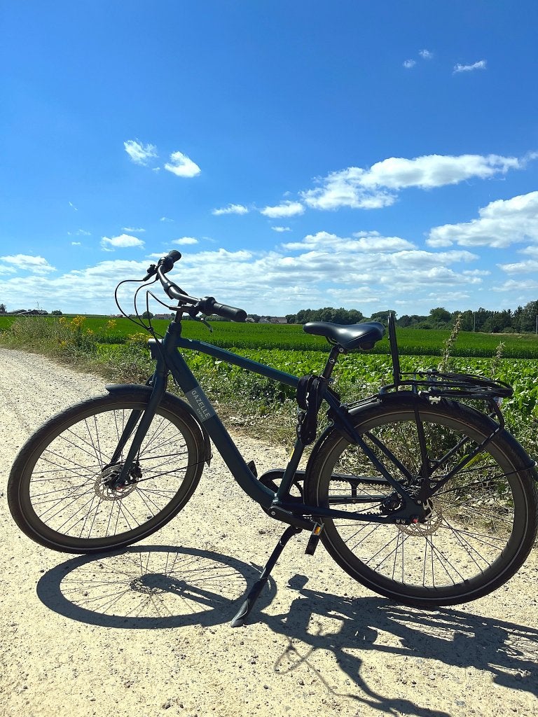 Gazelle Esprit Belt stadsfiets, Fietsen en Brommers, Fietsen | Heren | Herenfietsen, Ophalen, Gebruikt, Versnellingen, Schijfrem