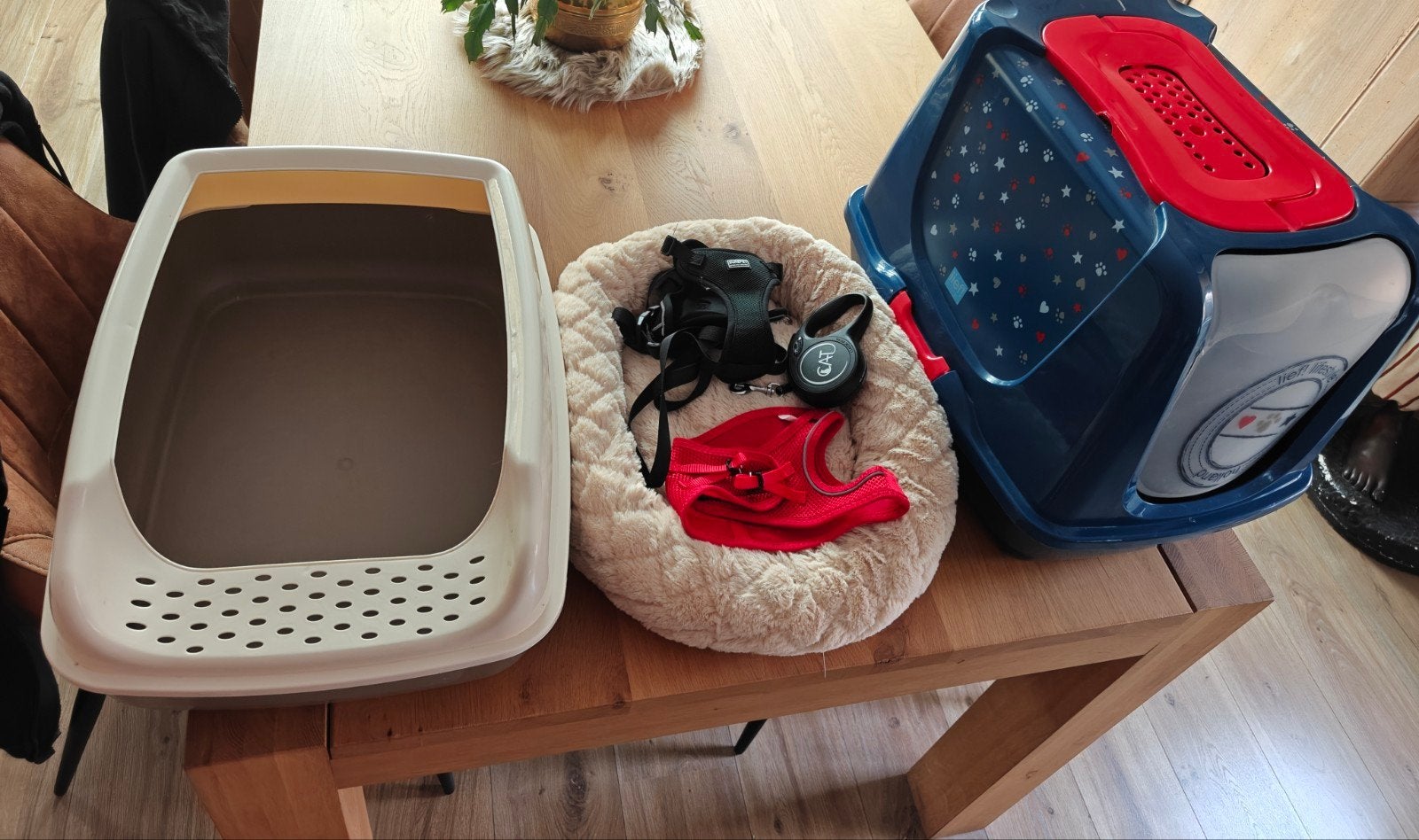 Gratis alles mee nemen, Dieren en Toebehoren, Katten-accessoires, Ophalen