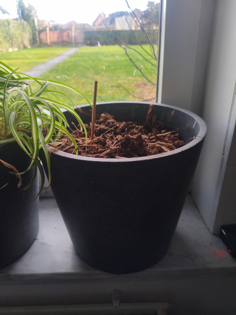 diverse grijze bloempotten (binnen/buiten), Tuin en Terras, Bloempotten, 25 tot 40 cm, Overige materialen, Gebruikt, Rond
