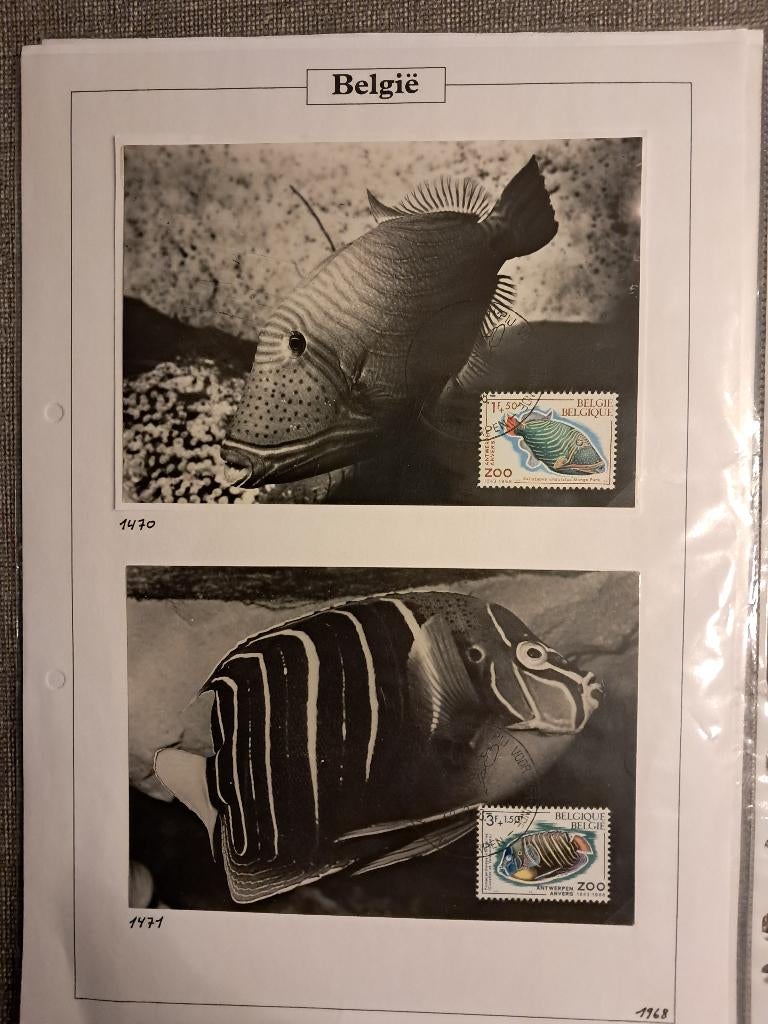 België 1470/73 en 1474/77 op fotokaart gestempeld, Enlèvement ou Envoi, Affranchi, Timbre-poste, Maison royale
