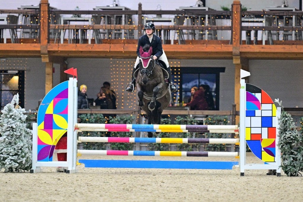 Privé paardrijlessen en verjaardagsfeestjes met Pony's, Dieren en Toebehoren, Paarden