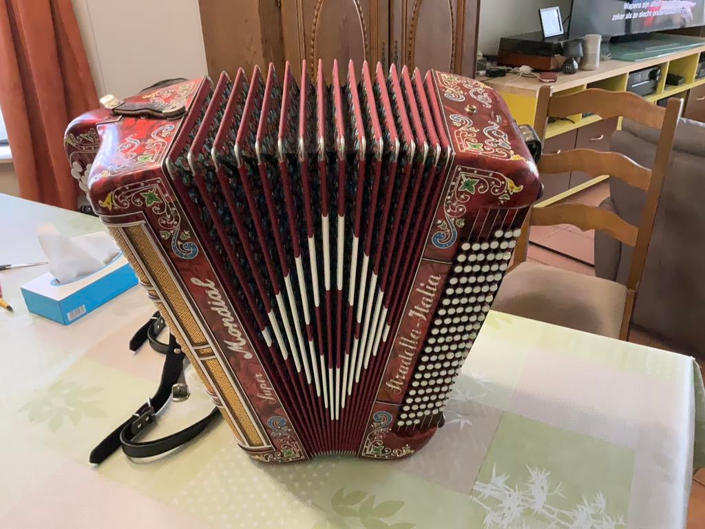 Accordéon, Musique & Instruments, Autres marques, Enlèvement, Utilisé, Avec bretelles