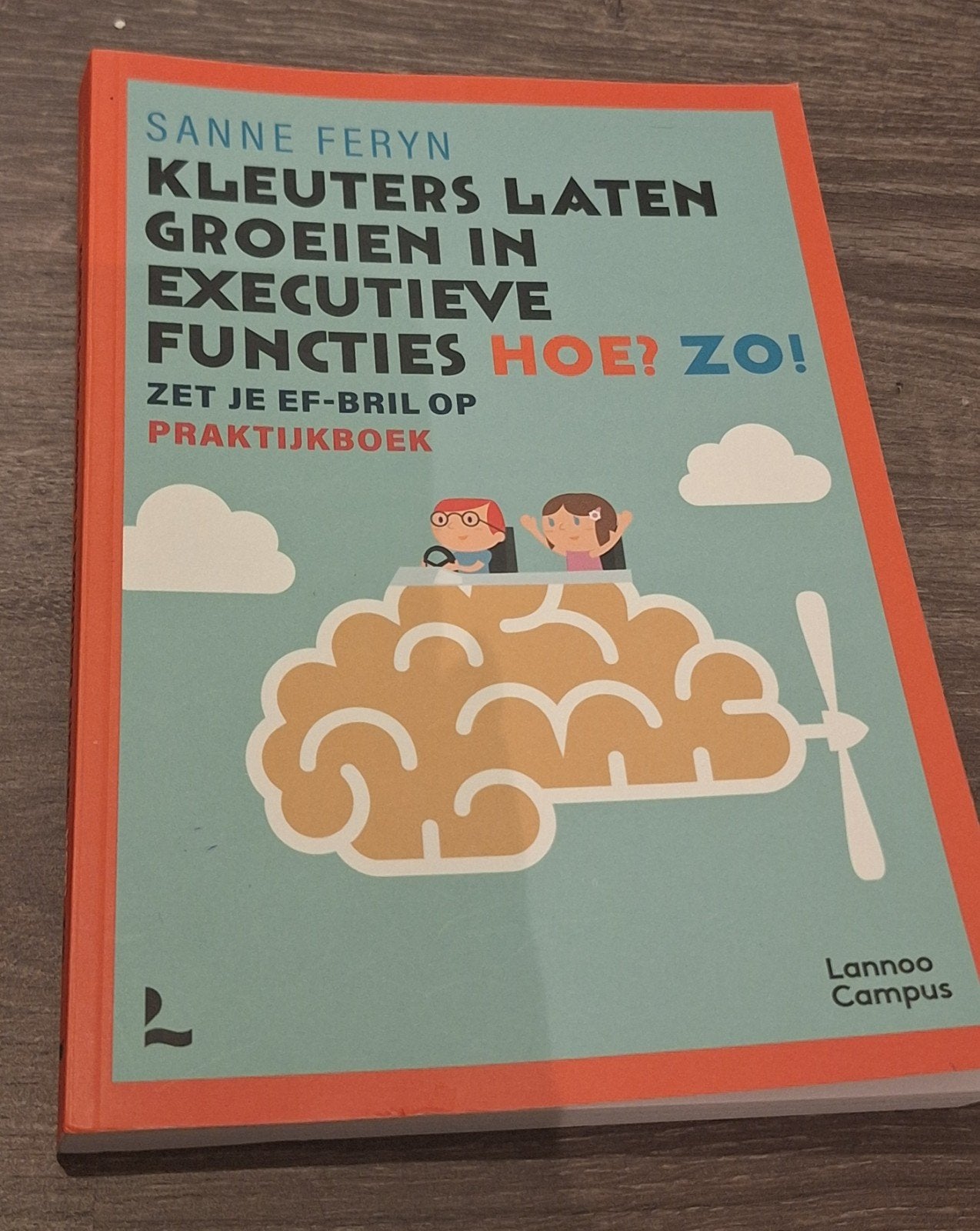 Kleuters laten groeien in executieve functies. Hoe? Zo!, Boeken, Ophalen