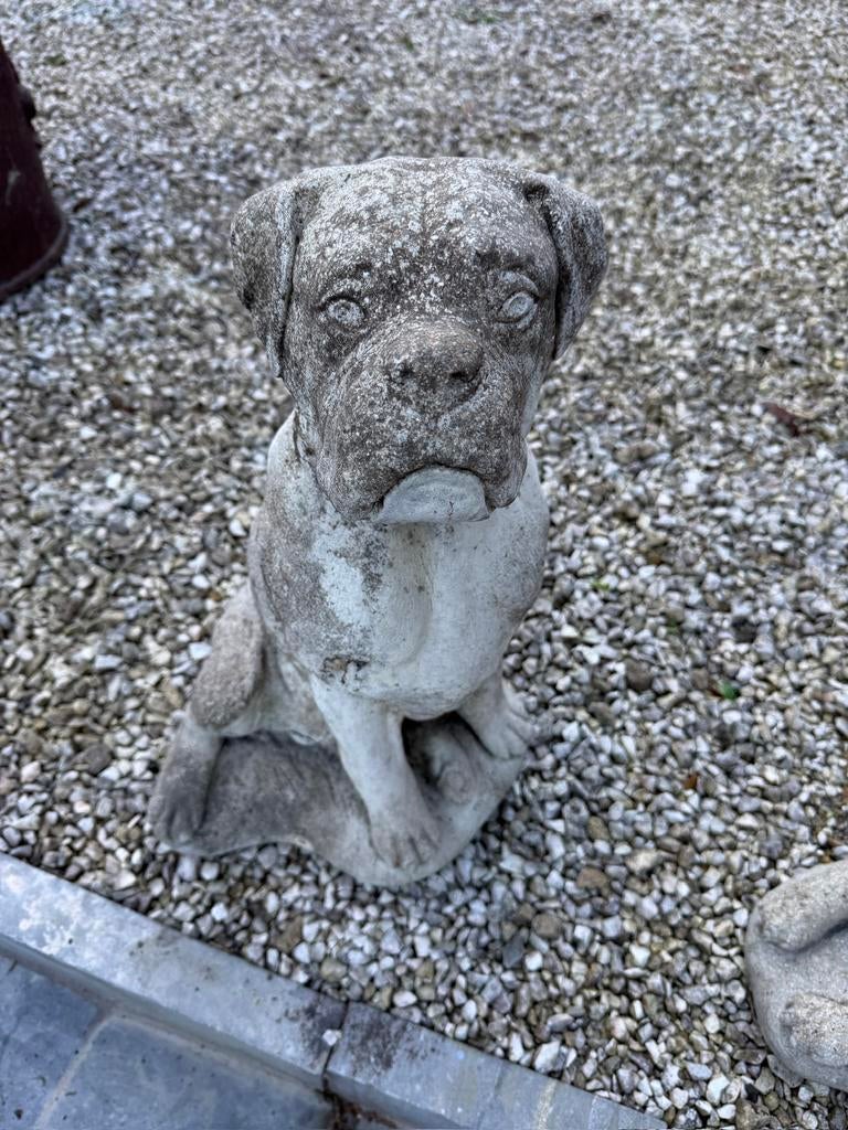 Hond bokser, Enlèvement ou Envoi, Comme neuf