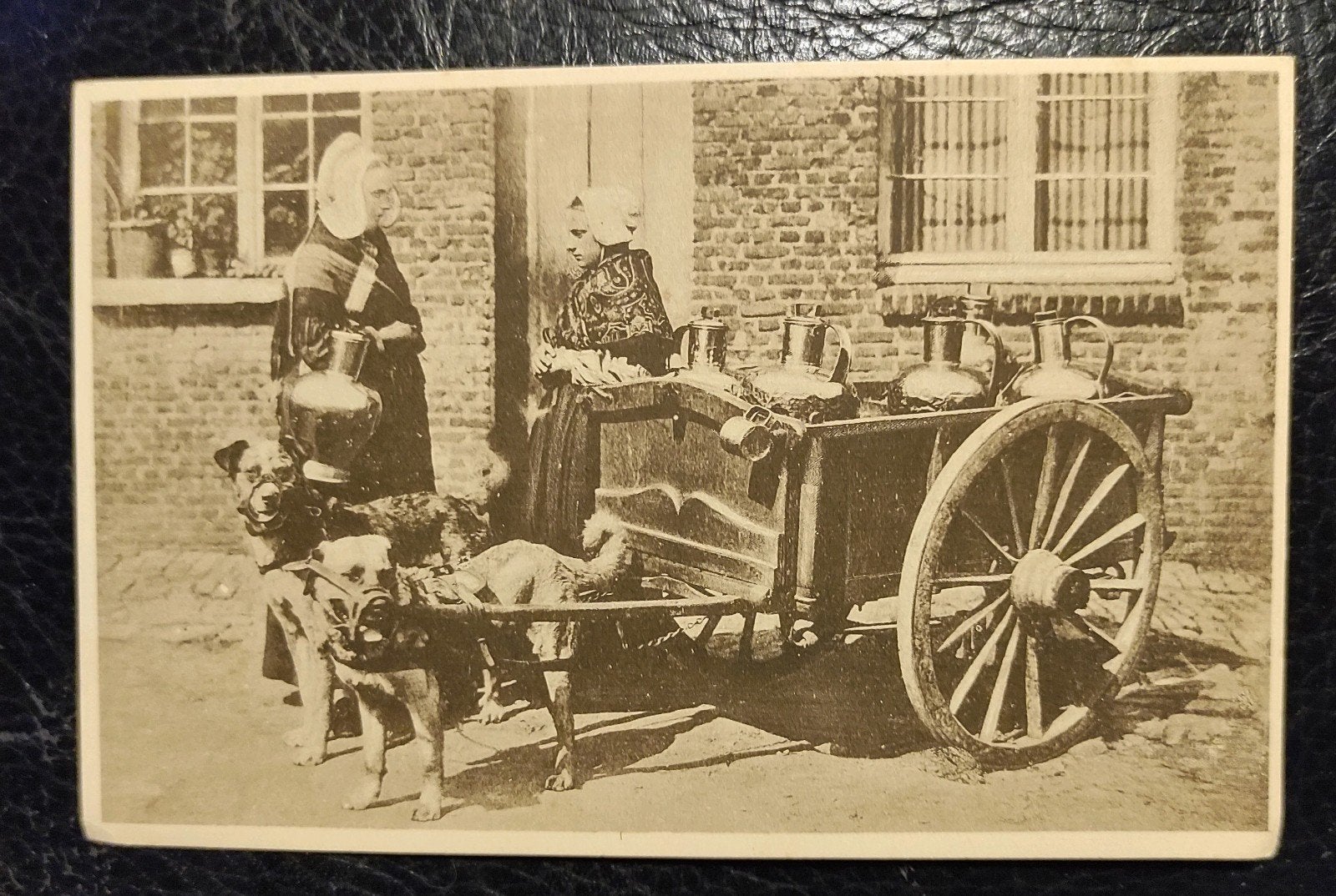 CHARIOT À LAIT FLAMAND AVEC CHIENS TIRÉS, Enlèvement ou Envoi