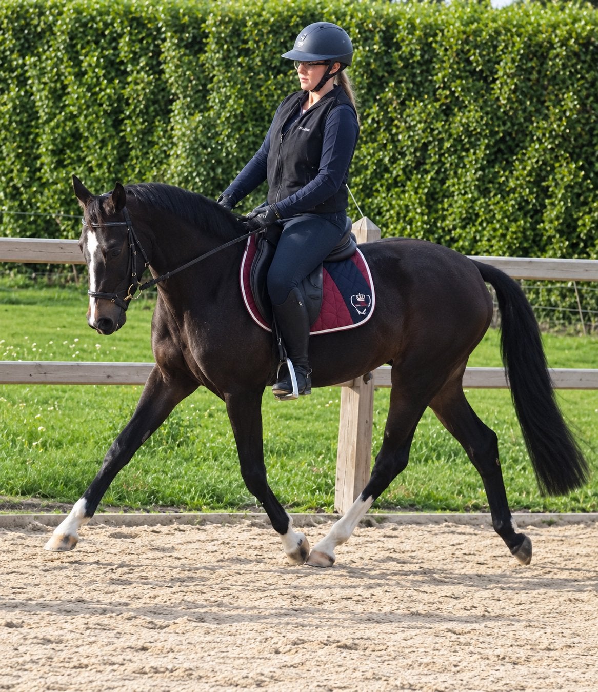 Jong getalenteerde allrounder kindvriendelijk, Dieren en Toebehoren, Met stamboom, Ruin, Zadelmak, 3 tot 6 jaar