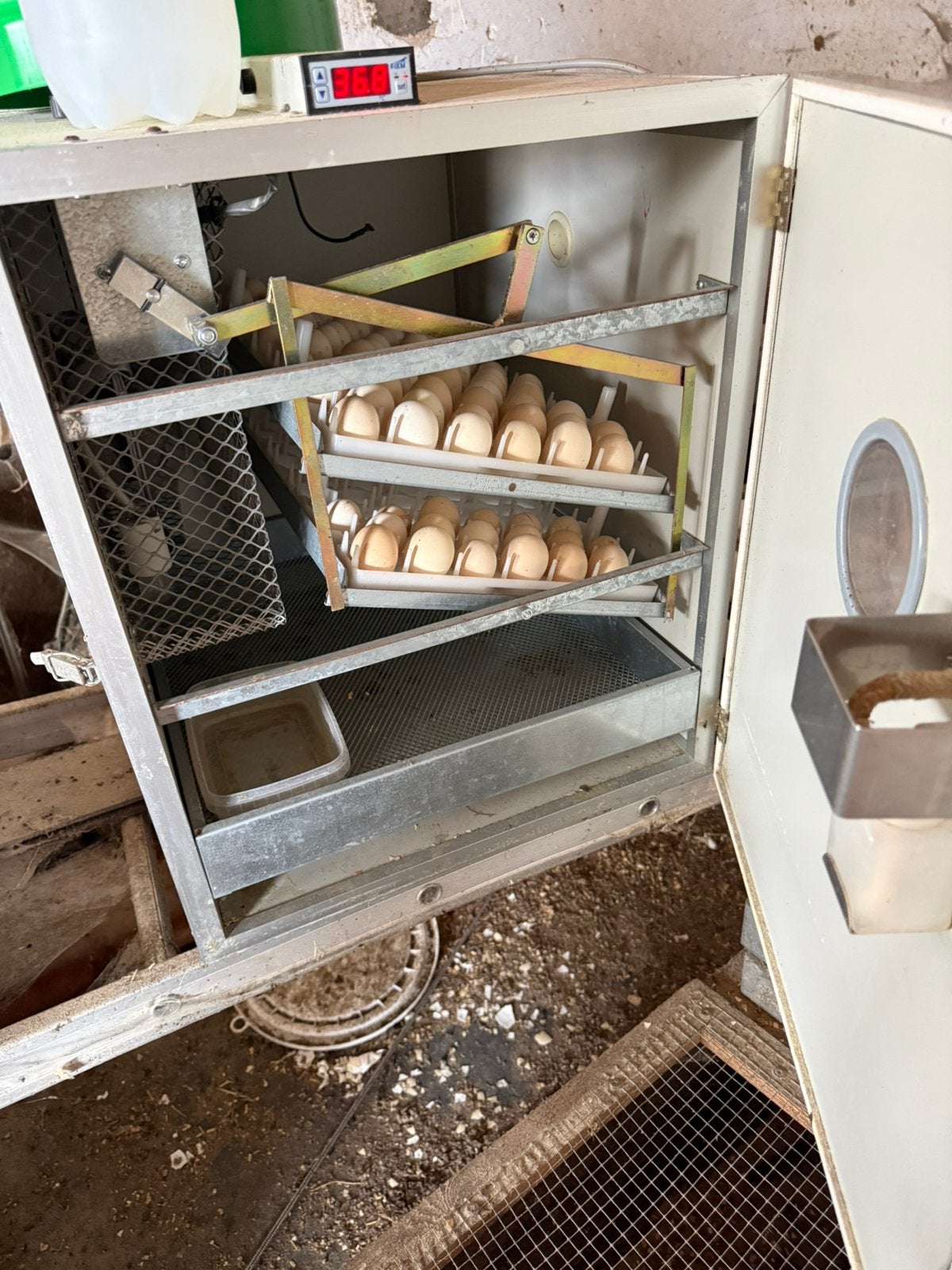 Broedmachine, Dieren en Toebehoren