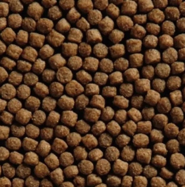 Germe de blé supérieur 3/6 mm. Pain de 6 kilos €40, -, Animaux & Accessoires, Carpe ou Koï
