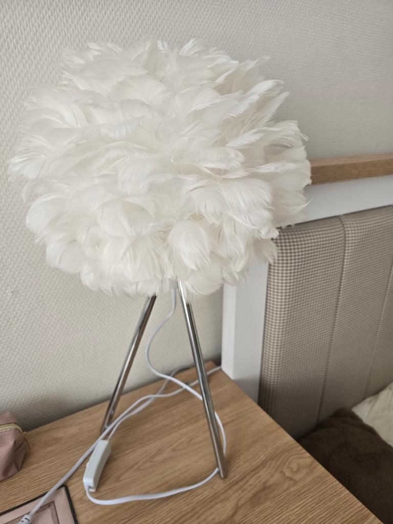 Lampe, Enlèvement
