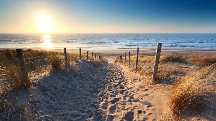 A louer studio à Coxyde - côte Belge 100m de la plage