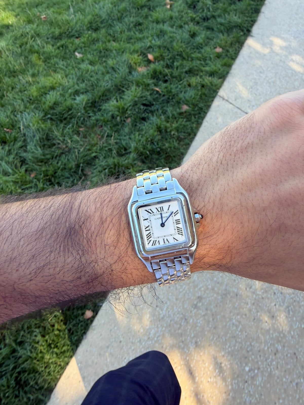 Cartier Panthere Xl, Overige merken, Staal, Staal, Polshorloge